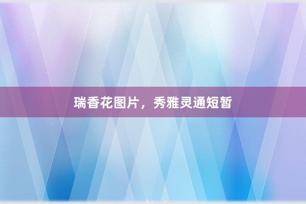 瑞香花图片,秀雅灵通短暂