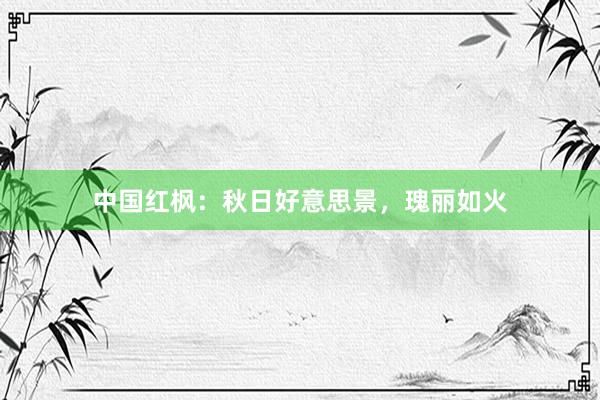 中国红枫：秋日好意思景，瑰丽如火