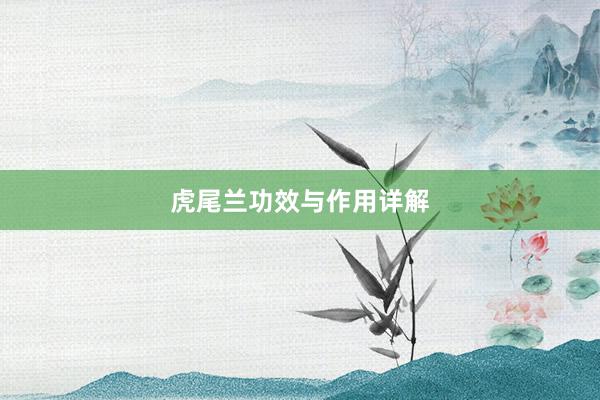 虎尾兰功效与作用详解